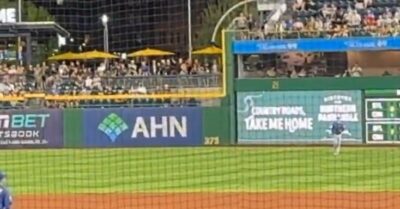 Video Captures Terrifying Moment Fan Plunges Over 20 Feet From Outfield